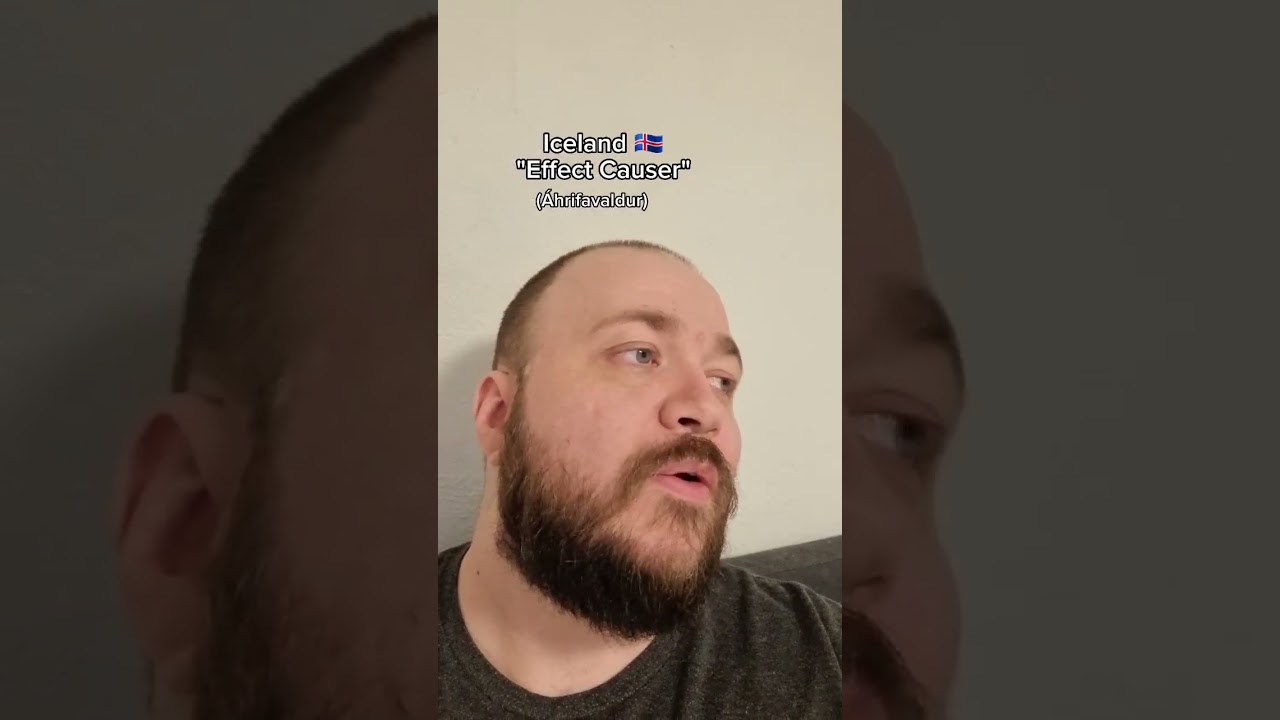 Literal Icelandic #language #iceland #nordic