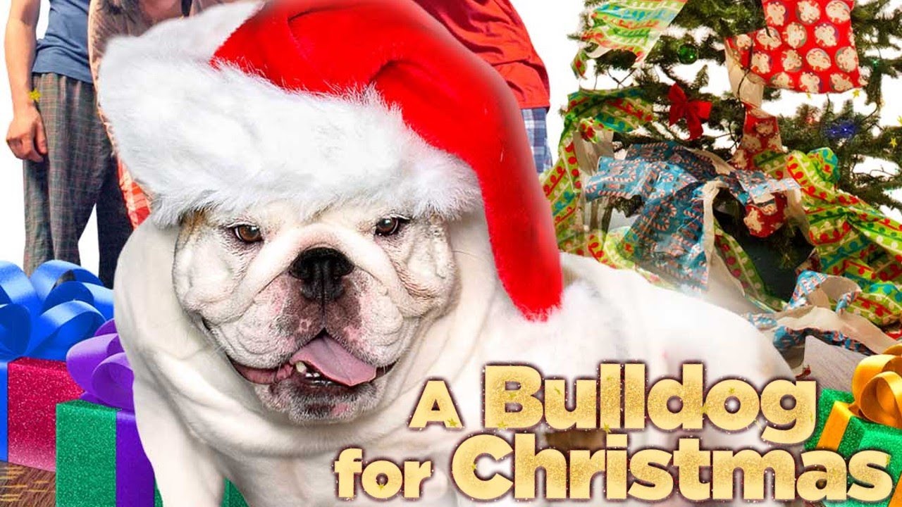 A Bulldog for Christmas 2013 Film | Marylee Osborne, Henrique Couto, Erin R. Ryan | Review