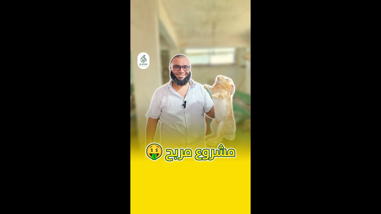 ليه تربية الأرانب مشروع مربح !؟