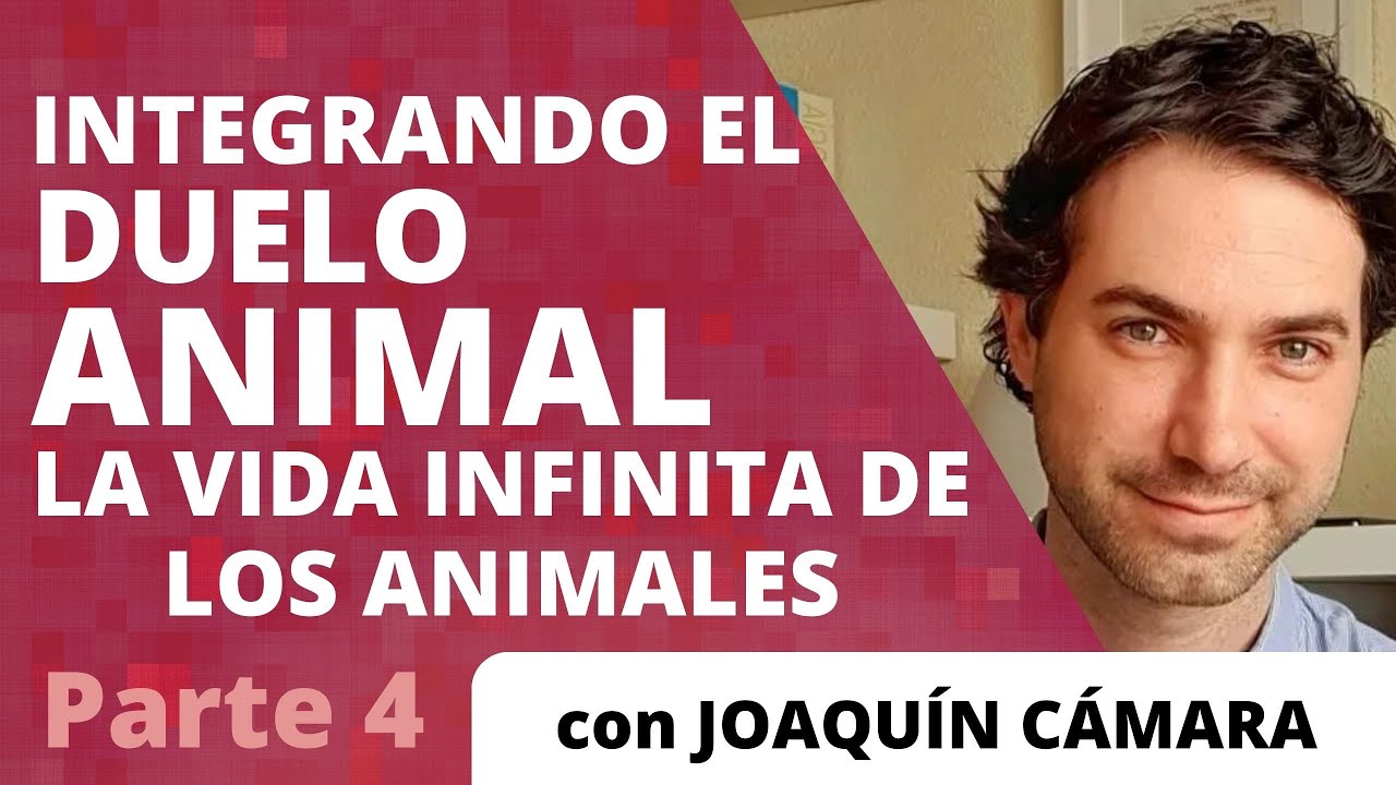 🐾Integrando el duelo animal. LA VIDA INFINITA DE LOS ANIMALES. Parte 4.🐾