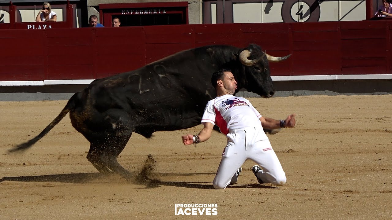 Semifinal campeonato de España de Recortadores con Toros - Madrid 2025