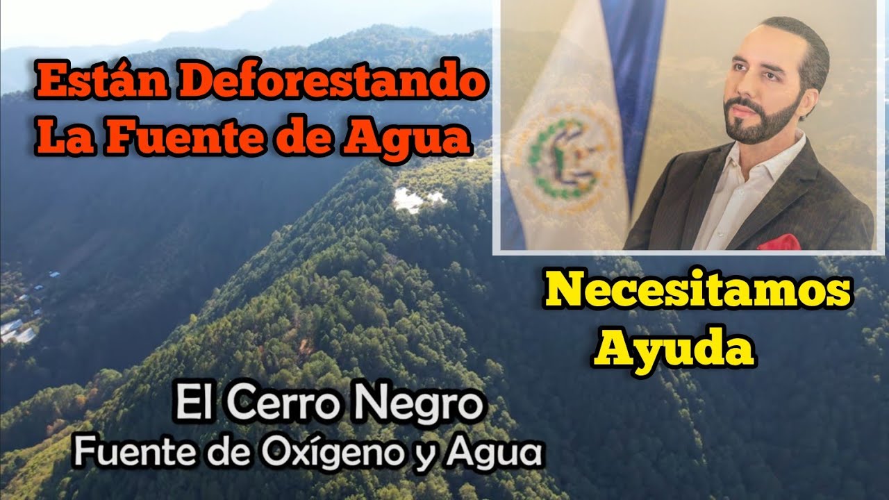 Están Deforestando El Cerro Negro en Chalatenango El Salvador Necesitamos Ayuda Para Salvar El Bosqu