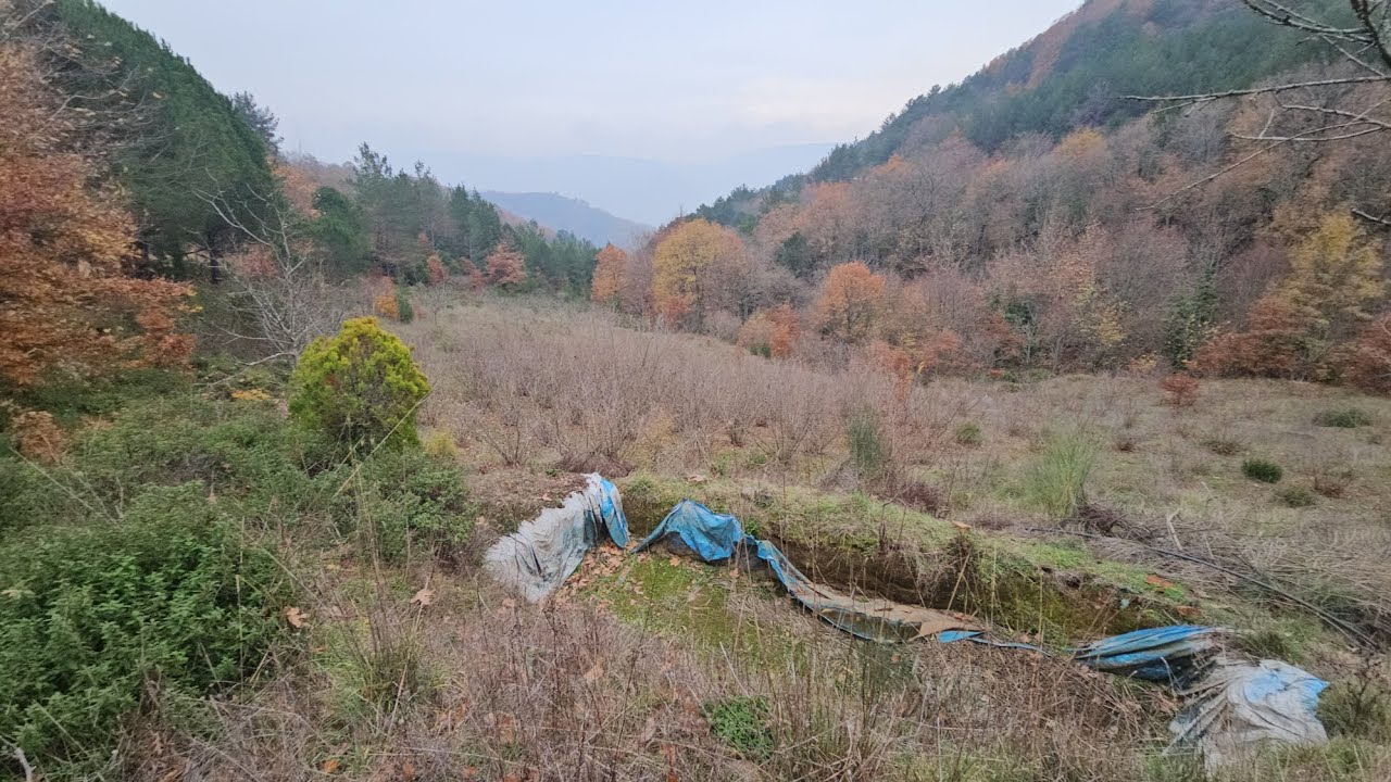 Satılık meyve tarlası 7200 m2 