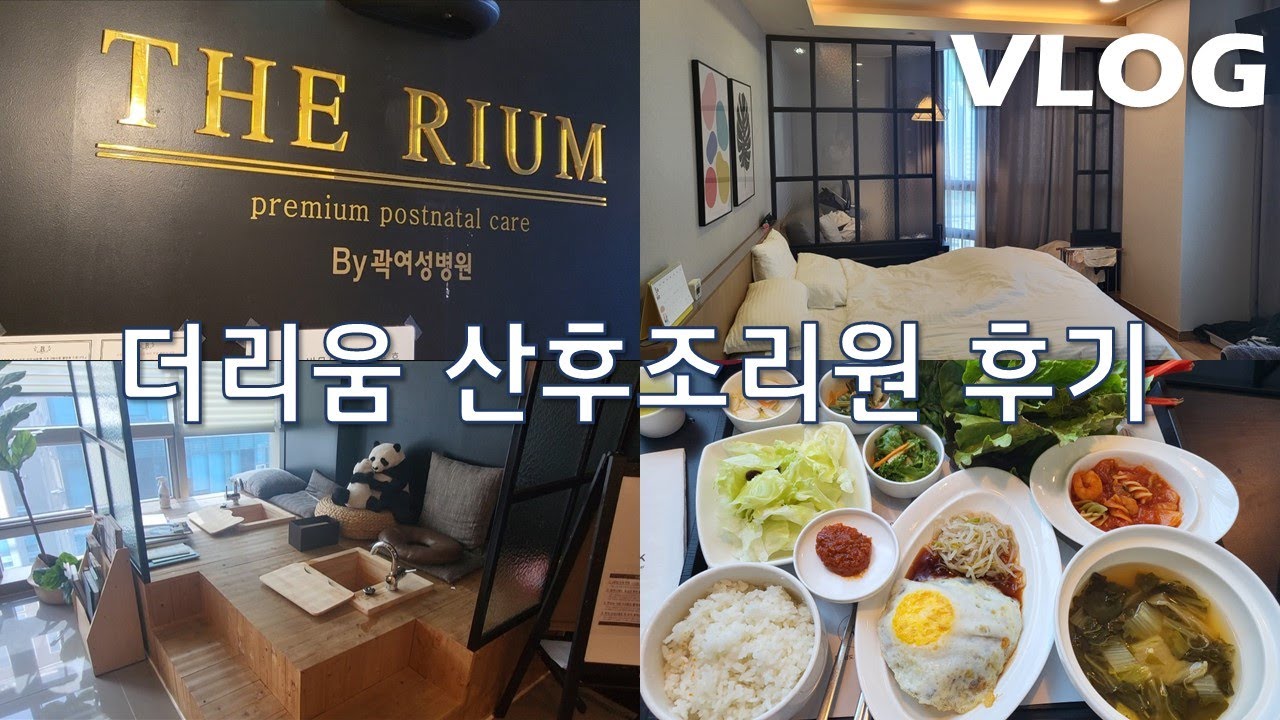 브이로그 │ 귀국, 육아, 이사하느라 바빠서 백일 지나고 올리는 조리원 후기😂, 더리움 산후조리원