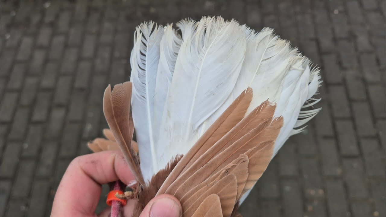 Benzynę mam tanio 😆Interes życia 🤣 Wyszfanc wylot 🤪Kobiet się malują to się zrobi koka na lalkę 😁