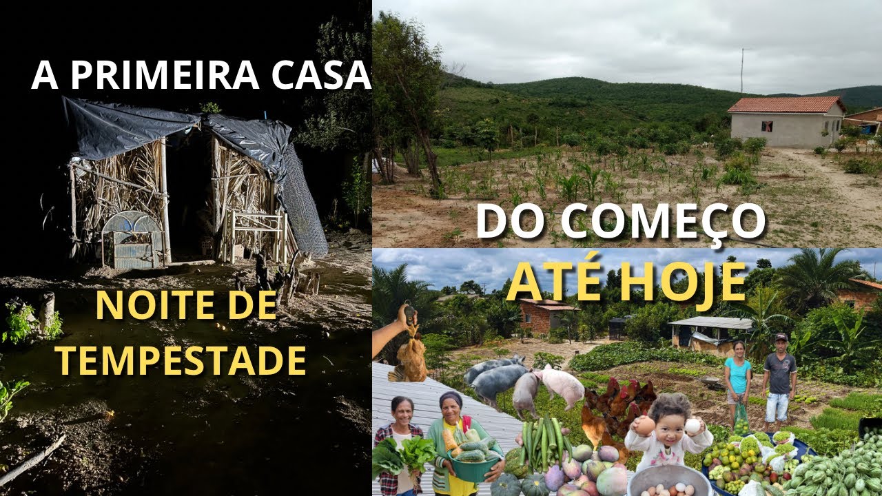 Um barraco de lona na tempestade, COMO VIEMOS MORAR NA ROÇA