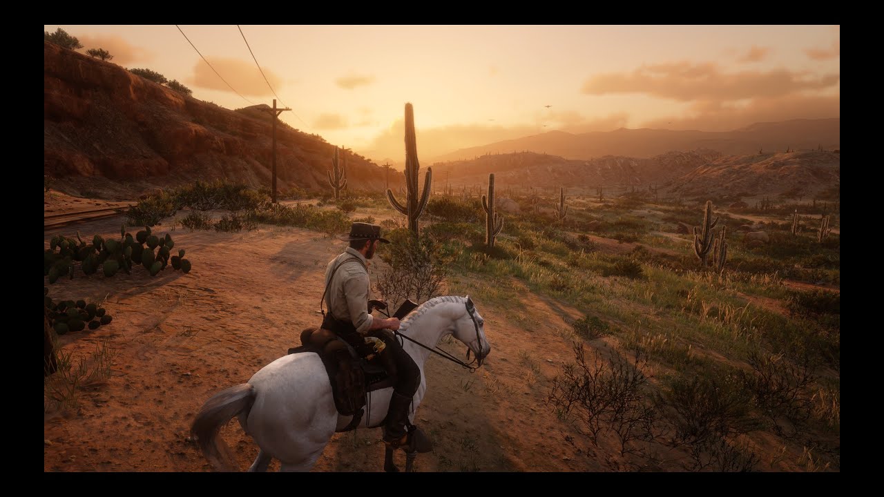 Fighting Del Lobos, Skinner Brothers, and hunting Legendary Cougar | RDR 2 (No commentary)