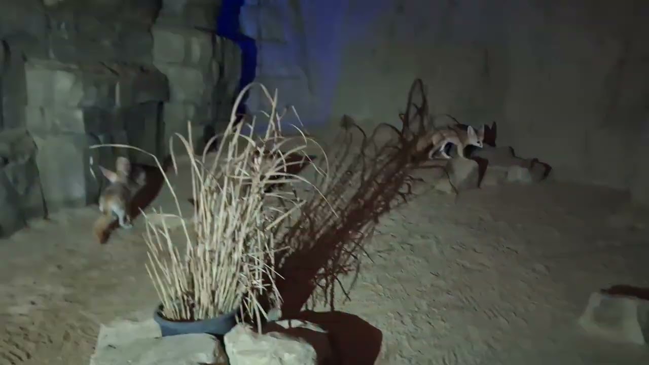 G+M Aufzug im Nachttierhaus Berliner Zoo, Berlin