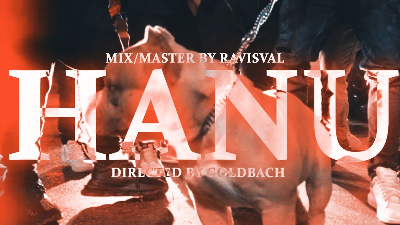 Petre Stefan - HANU (official video)