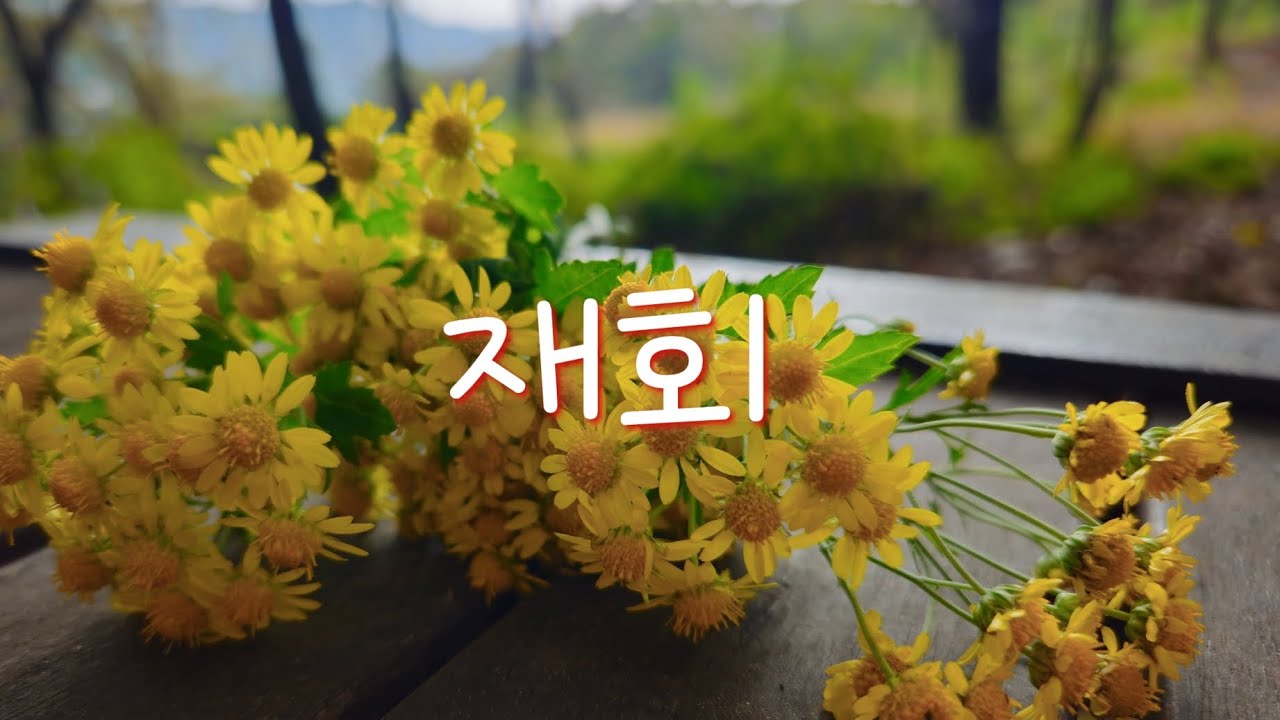 #재회_남궁옥분 #Array Mbira 어레이엠비라 연주