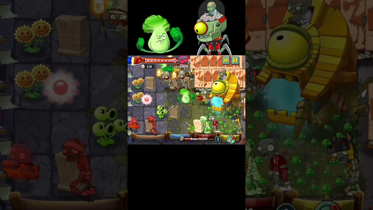 Pvz2 arena war OMG 😱 best survival | Arena strategy this week  