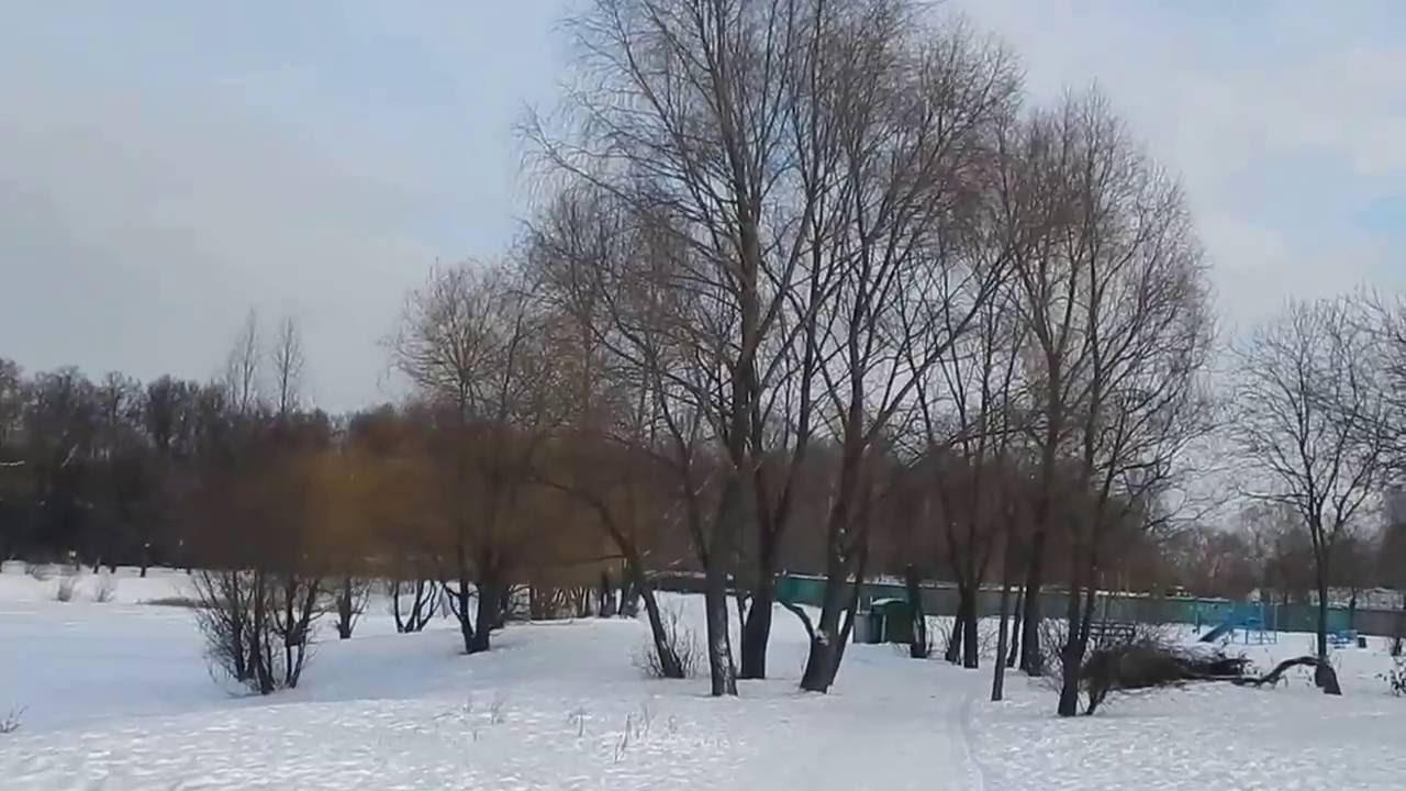 DSCN3437      12 12 2016 Г     ПРОГУЛКА   ...