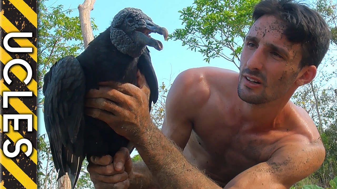How to Catch a Vulture - with Andrew Ucles