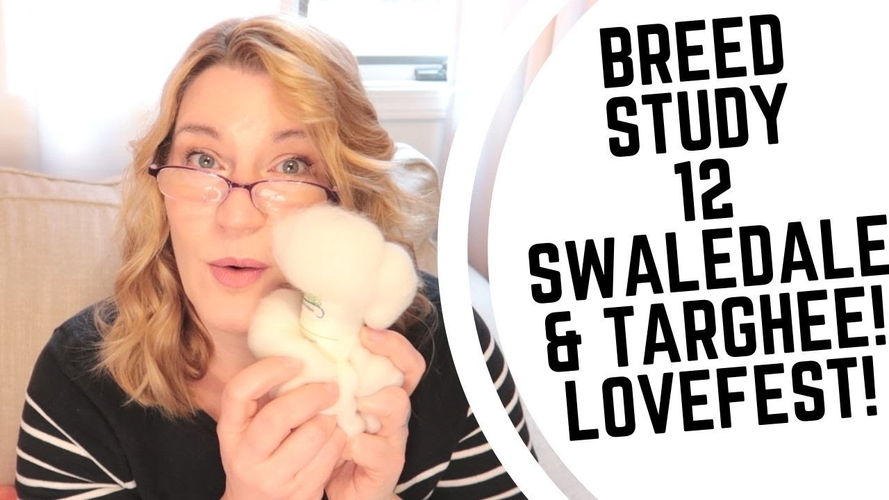 Breed Study 12-Swaledale & Targhee Spinning Wool Into Yarn