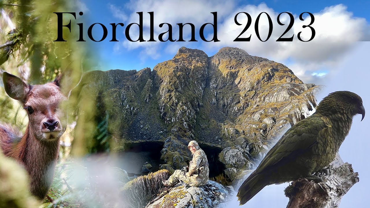 NZ Fiordland Wapiti / Elk Hunting Edith 2023