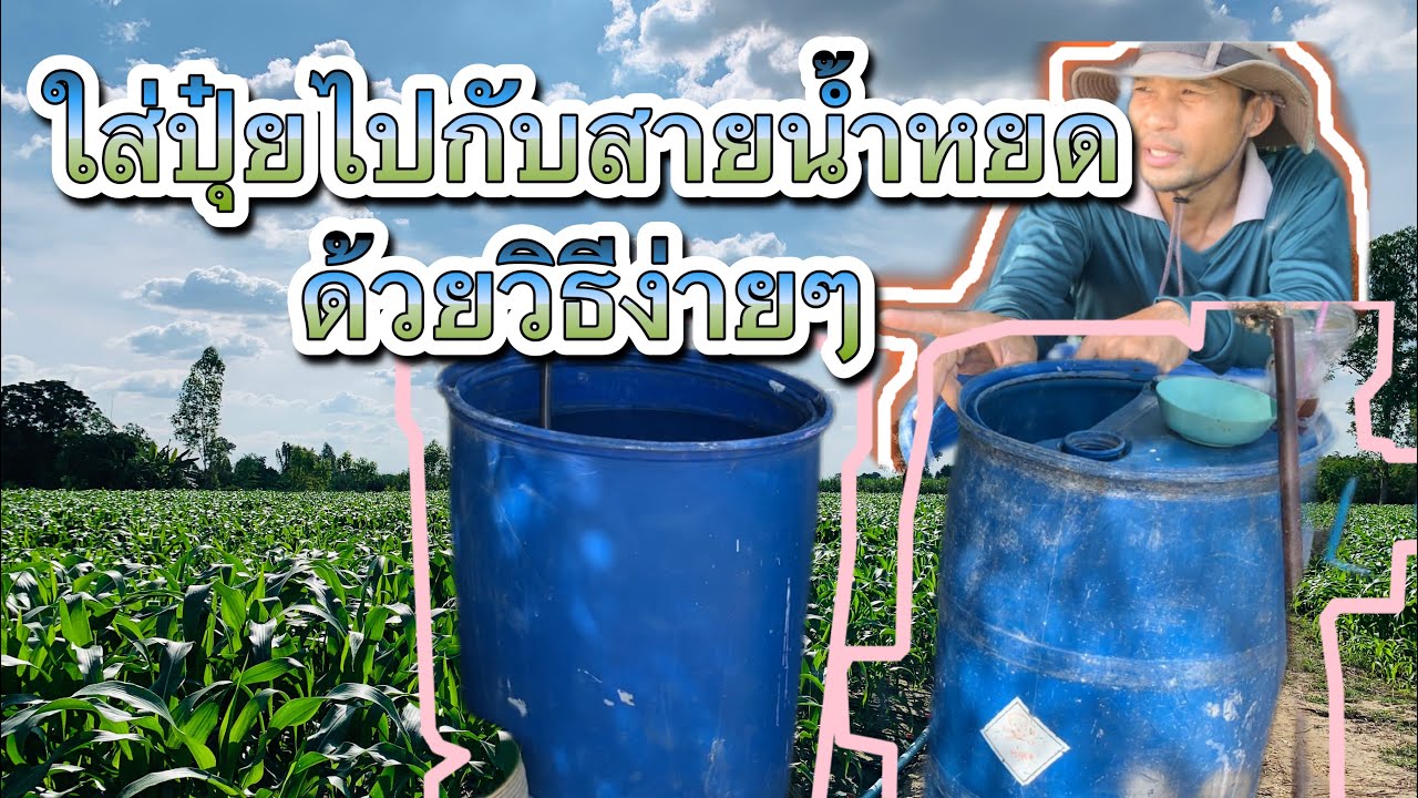 ใส่ปุ๋ยไปกับสายน้ำหยดด้วยวิธีง่าย