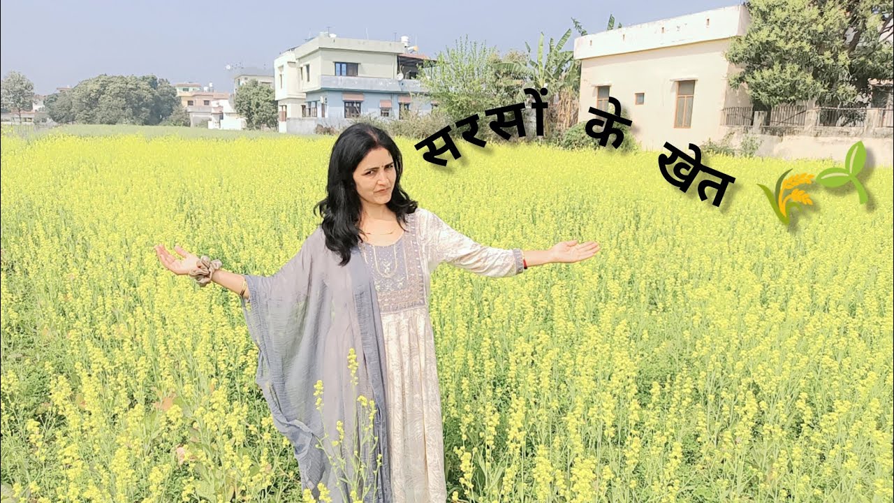 शादी में किए खूब मज़े अब पहुंच चुकी हूं मायके😍#dailyvlog #sarsokakhet #holispecial 