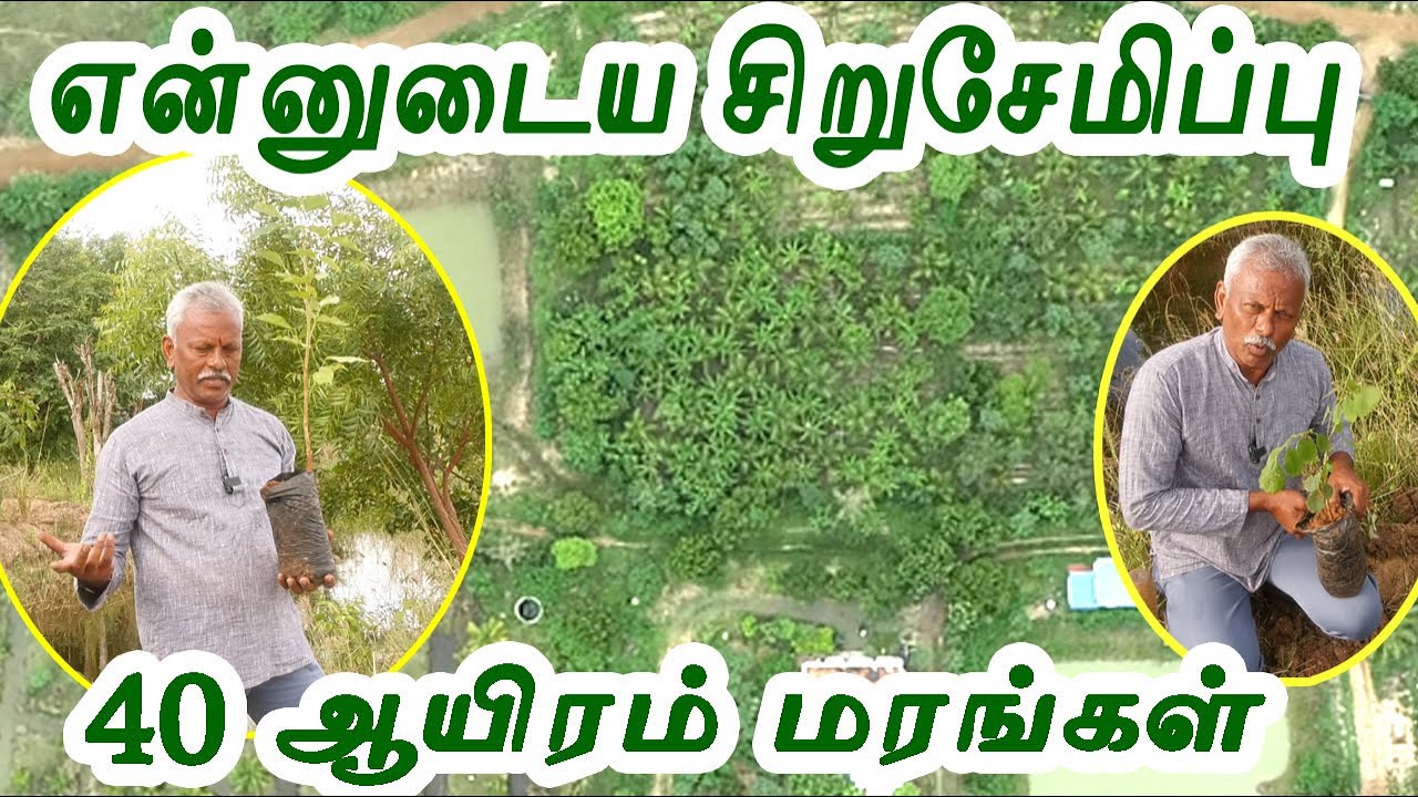 என்னுடைய சிறுசேமிப்பு 40 ஆயிரம் மரங்கள். | தரணி முருகேசன் இராமநாதபுரம் மாவட்டத்தின் முன்னோடி விவசாயி