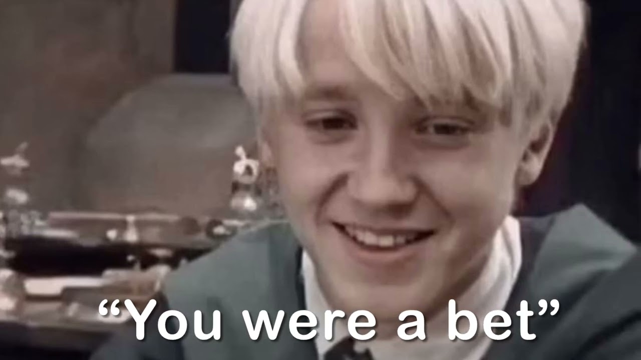 Draco and Y/n full story