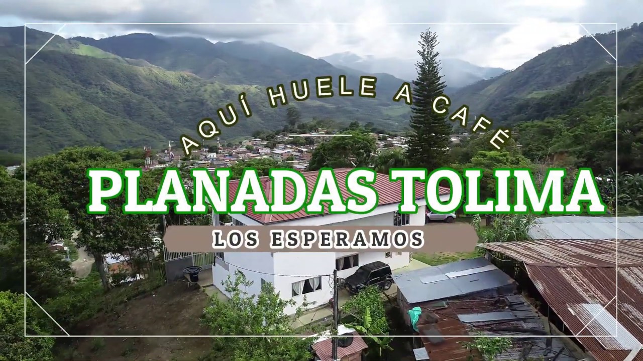 PLANADAS TOLIMA COLOMBIA / Coffee Hotel