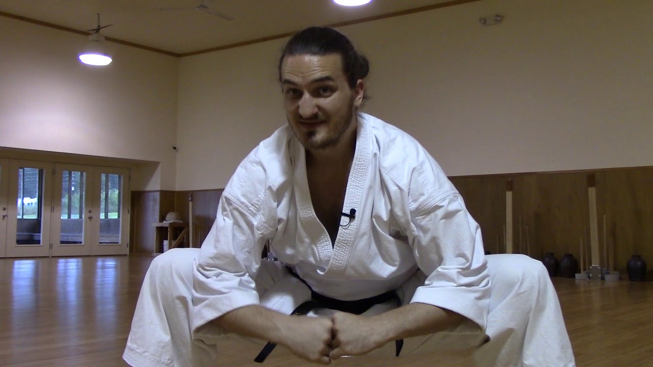 Geometry of Karate Stances