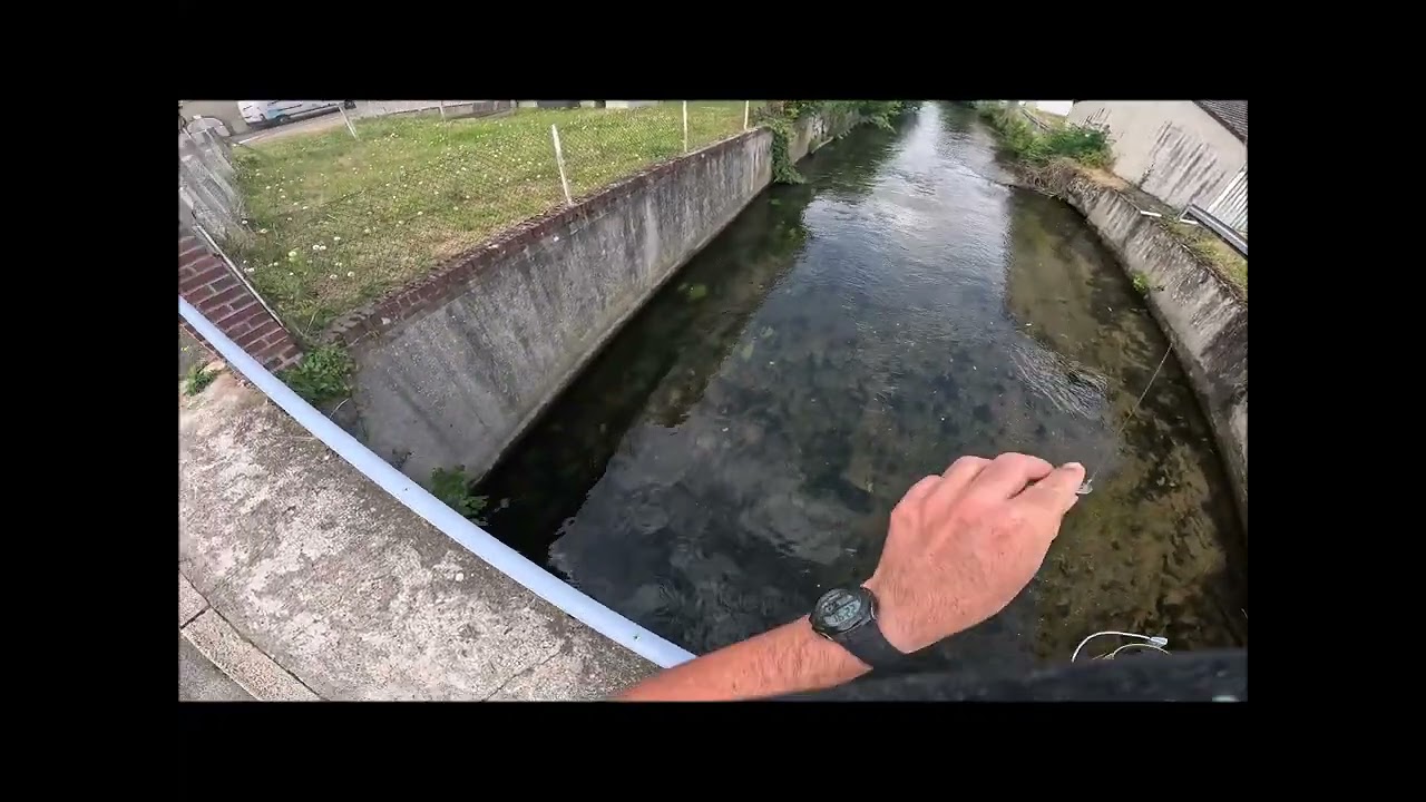 SESSION BACK in TIME 2024 On pêche la Truite Feat Kéké elles sont COMPLETEMENT DINGUE en ETE