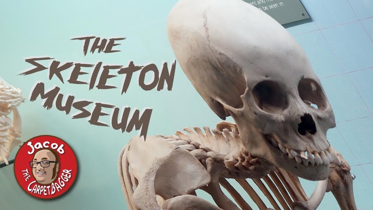 World's Only Skeleton Museum - The Museum of Osteology