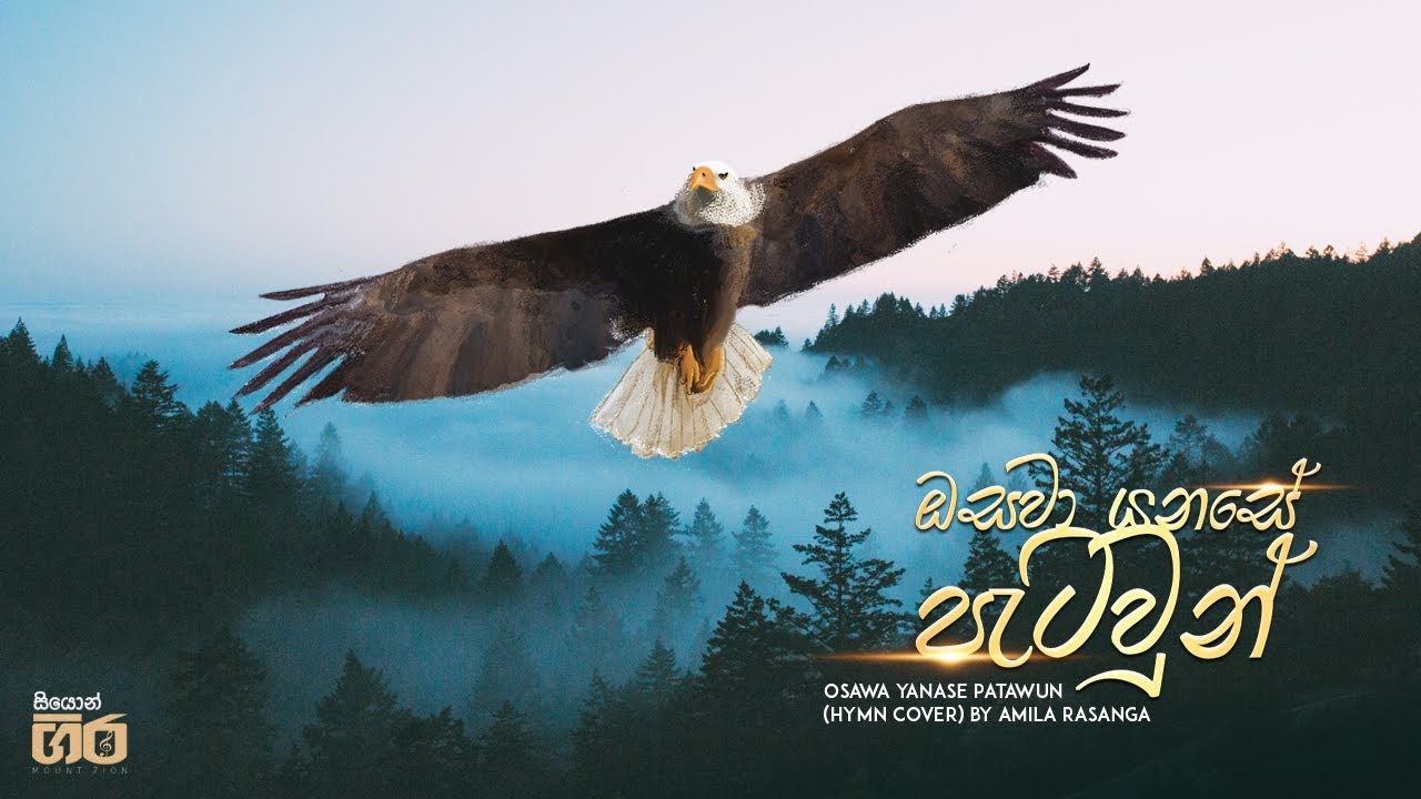 ඔසවා යනසේ පැටවුන් | Amila Rasanga | Mount Zion | Osawa Yanase Patawun