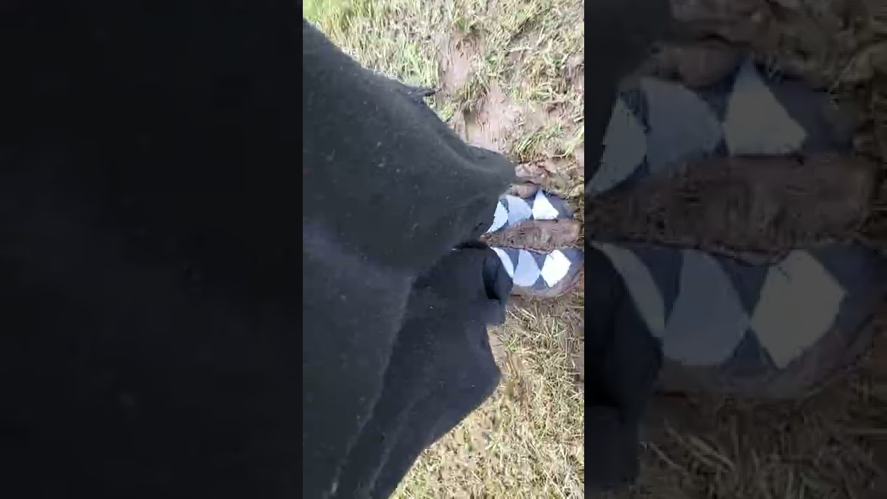 a little mud for my dress socks