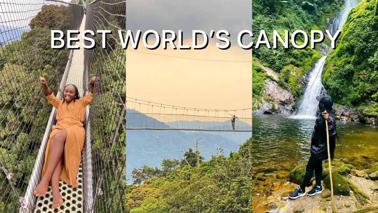 INSIDE THE WORLD'S BEST CANOPY WALK / NYUNGWE NATIONAL PARK