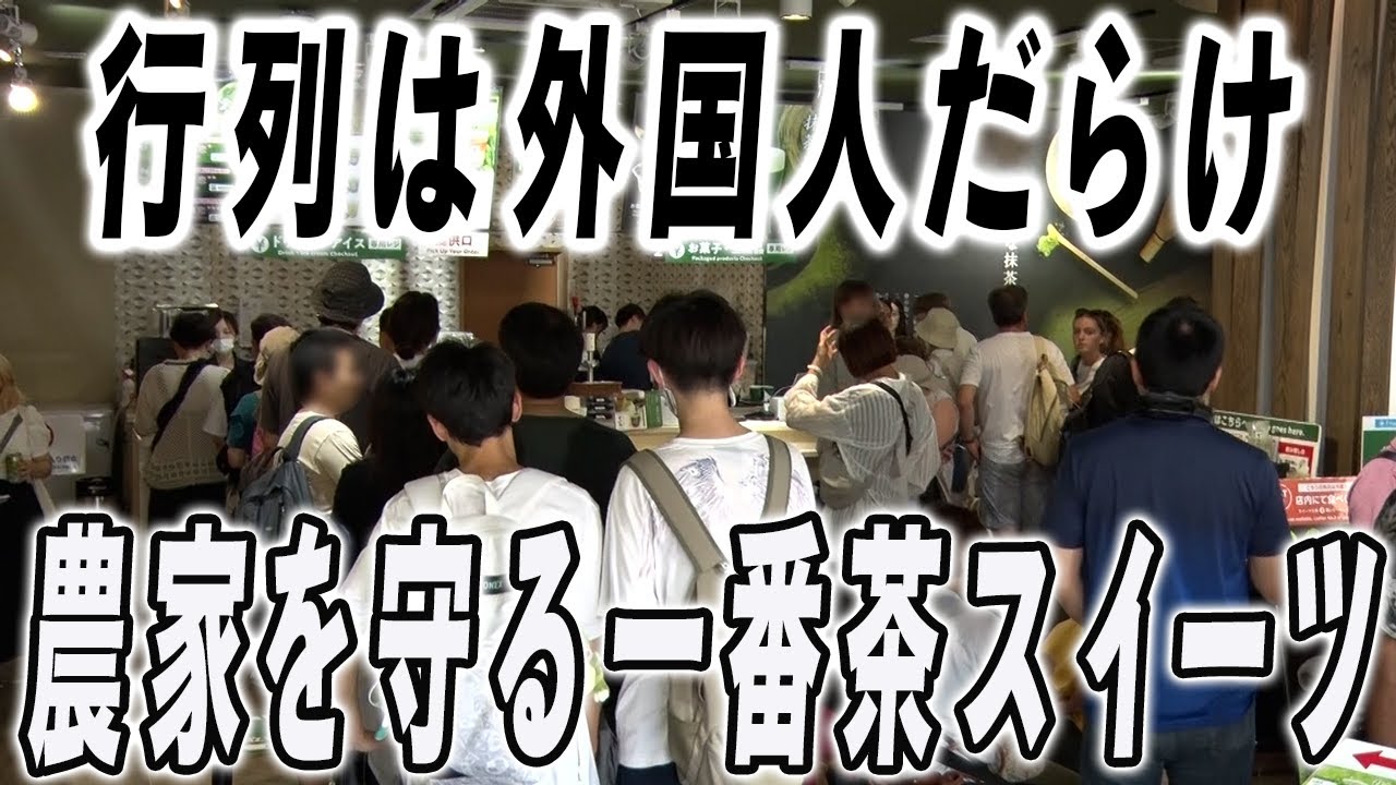 外国人の行列スイーツ…抹茶農家とコラボする濃厚シュークリーム