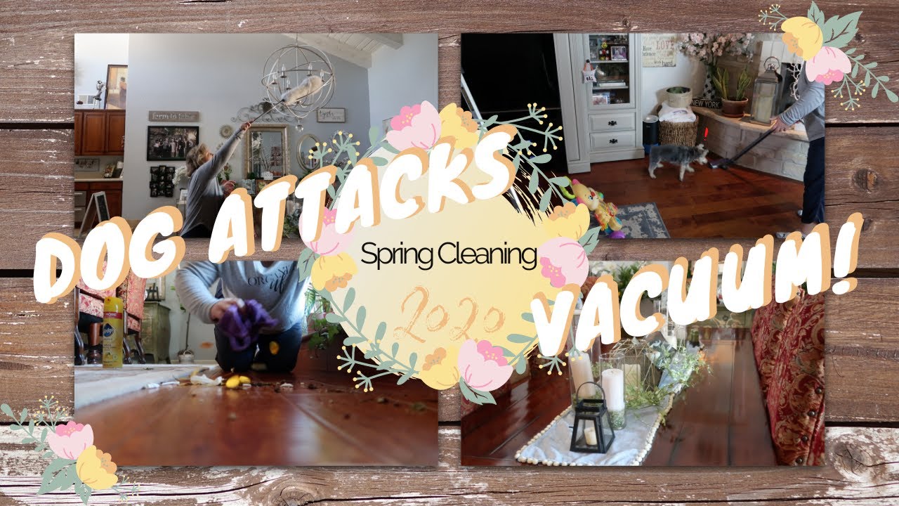 Spring Clean With Me!|DOG ATTACKS VACUUM|Cleaning Hacks 2020
