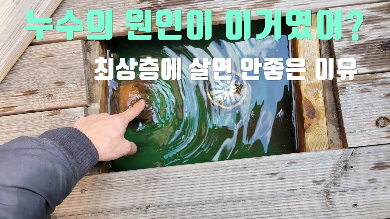 최상층과 최하층을 피해야 하는 이유.전혀 예상치 못했던 누수의 원인