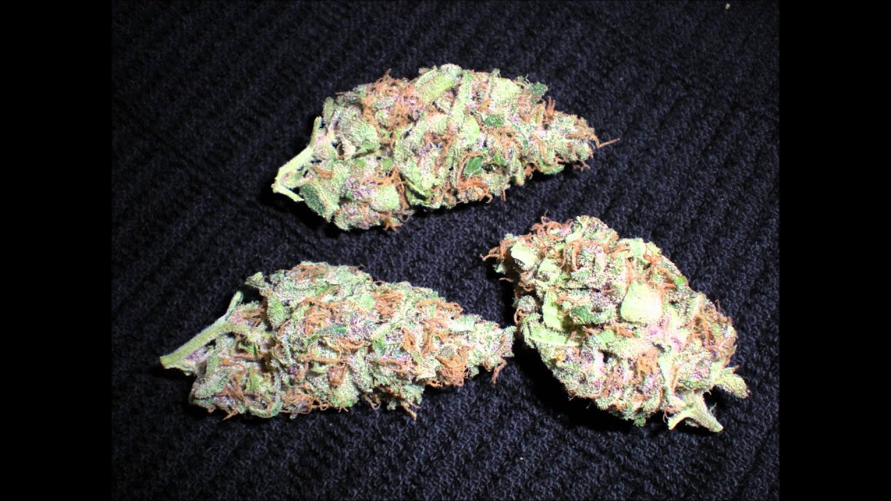 Bud pics. random strains