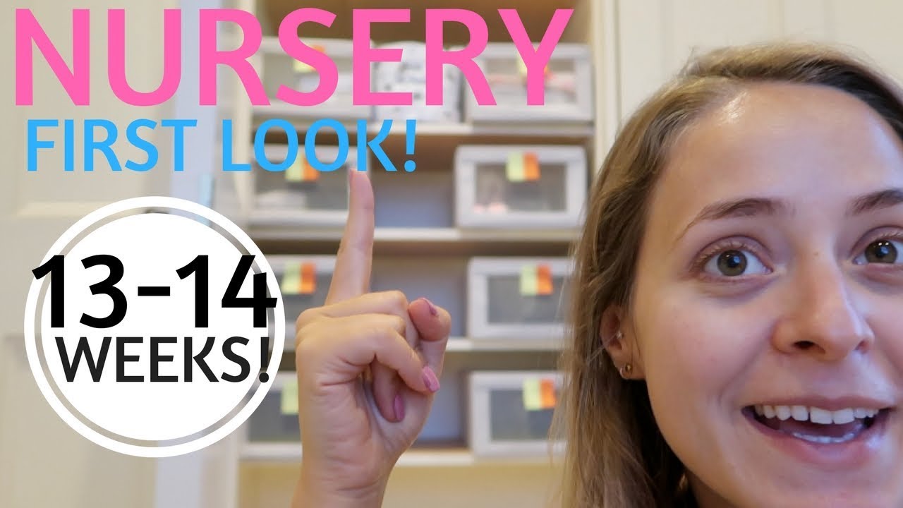 Pregnancy CHAT: 13-14 Weeks! | Fleur De Vlog