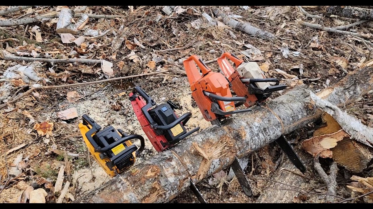 Lets race some saws! Husky 55, 50, Jonsered 590, Poulan Pro 325!