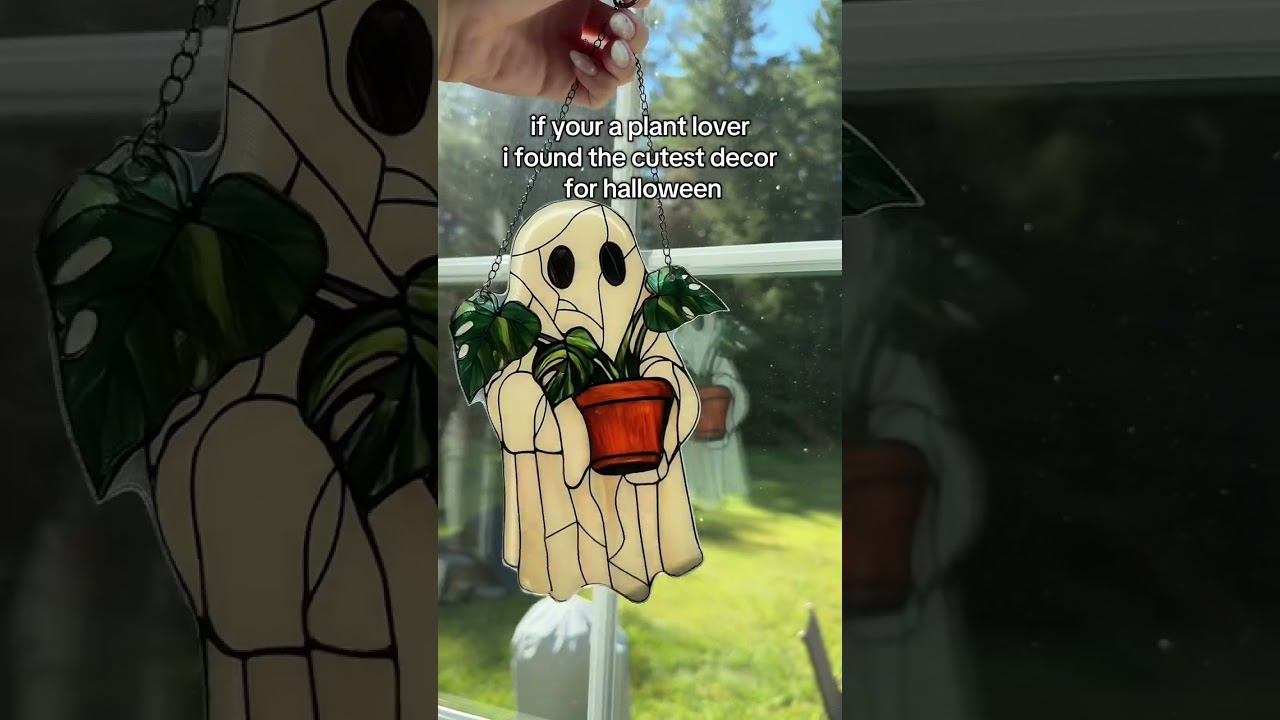 Spooky Plant Decor for Halloween: Sunlit Magic 