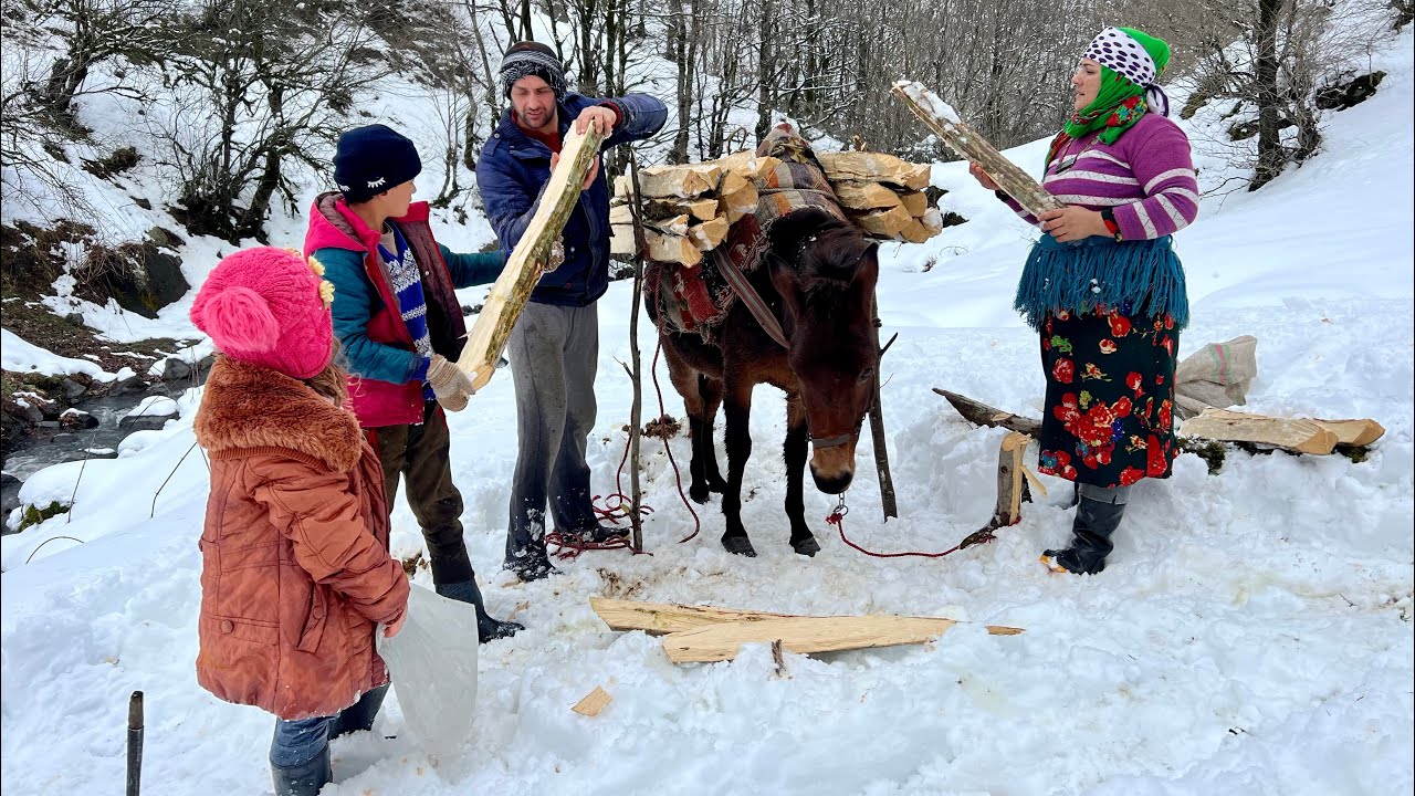 IRAN Nomadic Life! Collecting Firewood for Heating and Cooking Omelette