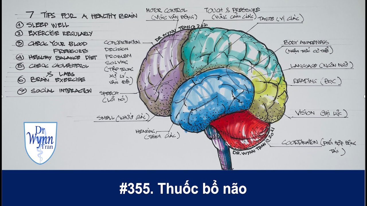 #355. Những cách tăng cường sức khỏe bộ não