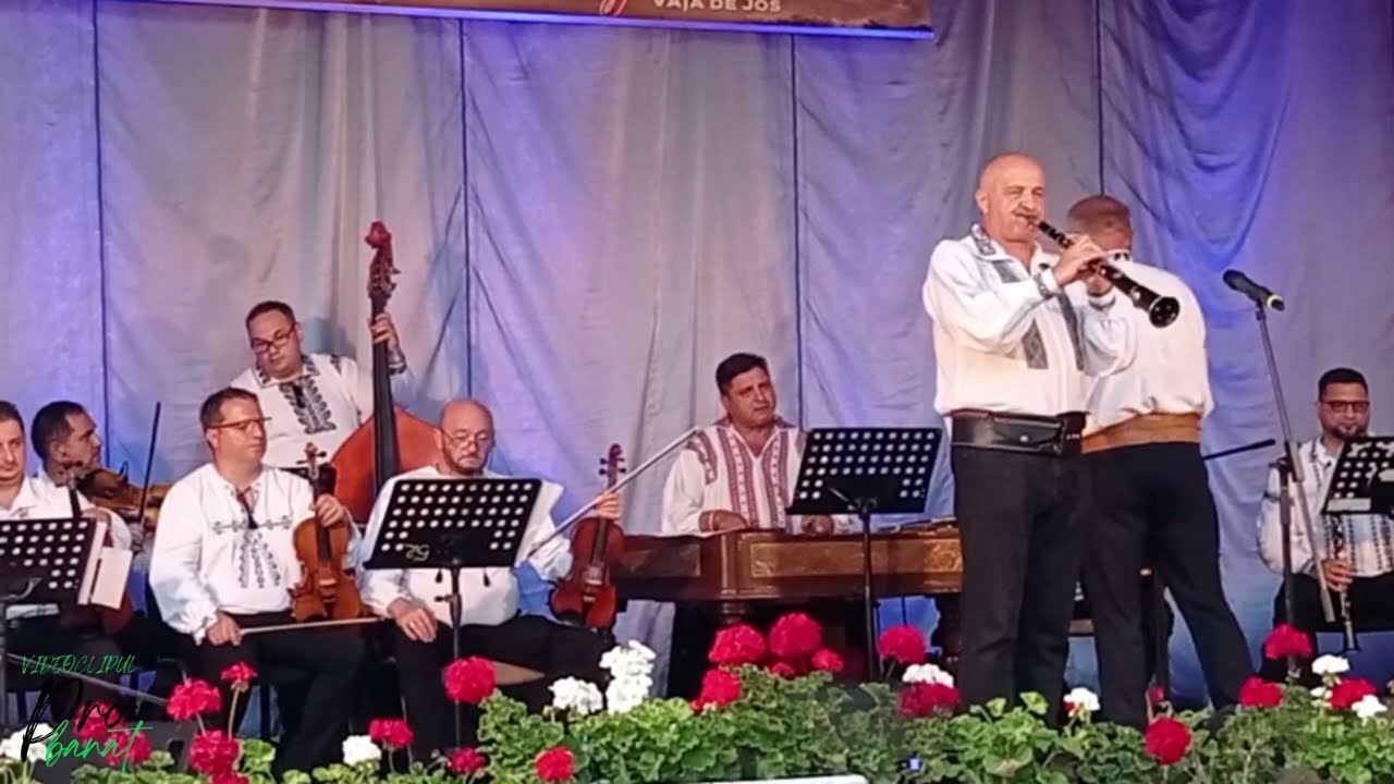 VIDEOCLIPUL PRO BANAT - Gigi Tăbăcar
