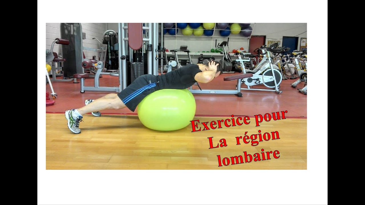 Exercices pour la région Lombaire (Partie basse du dos)