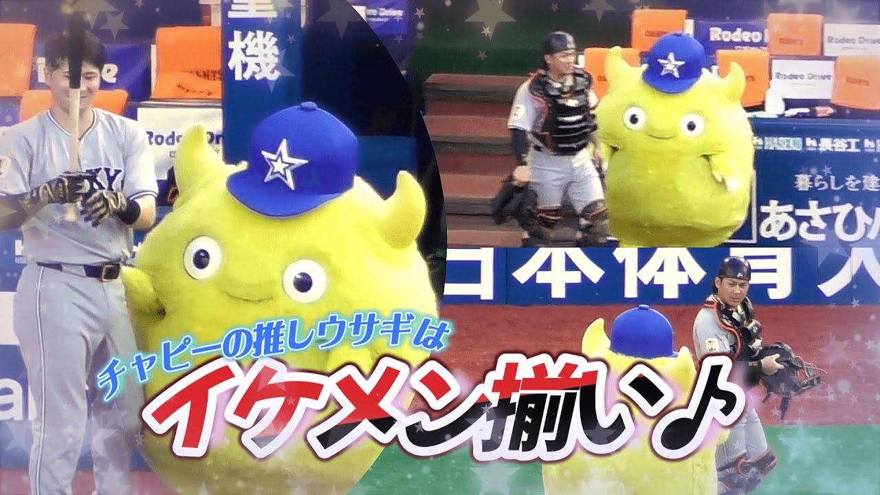 【2025/8/8 横浜スタジアム】バート＆チャピーの突撃にも優しいウサギ紳士球団ベンチ♪