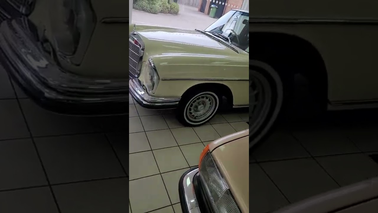 Car Culture by Dee Evans.