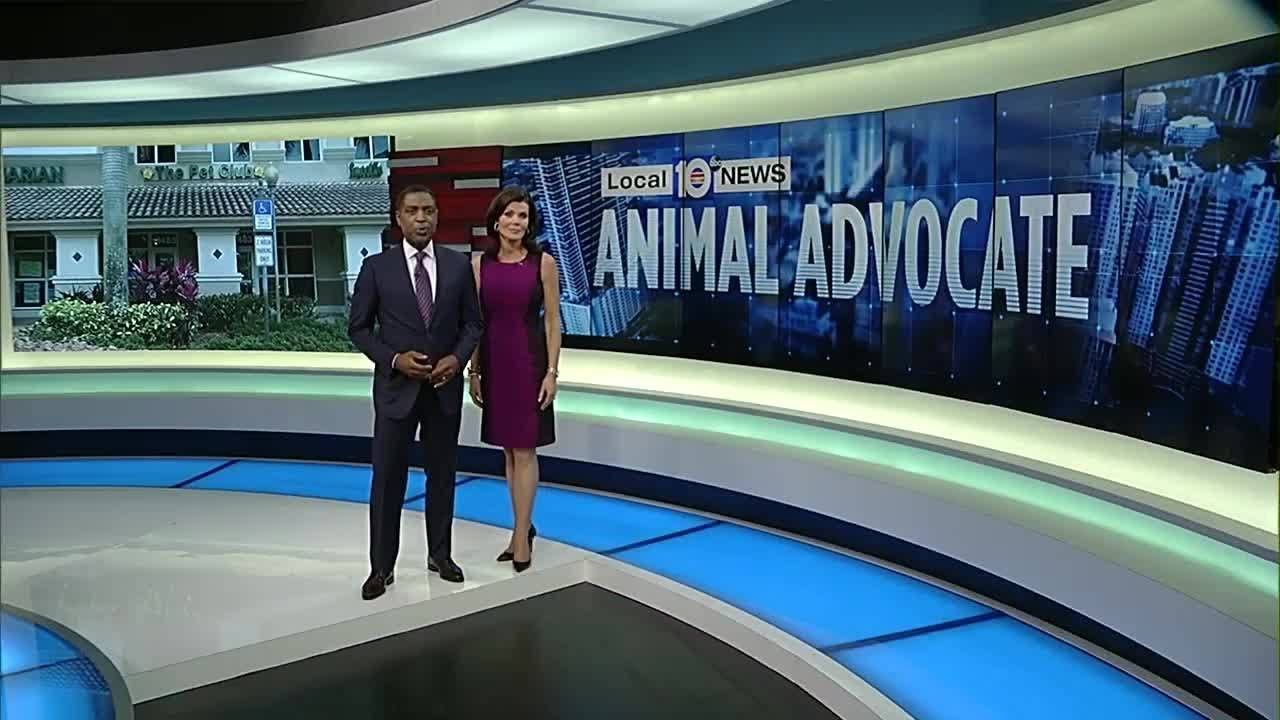 Pet owner demands answers after 3 dogs died in groomer's care
