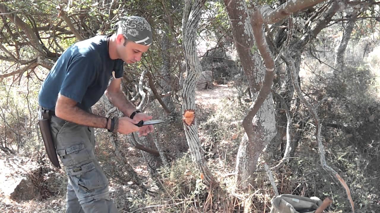 מבחן שטח - סכין האדסון ביי