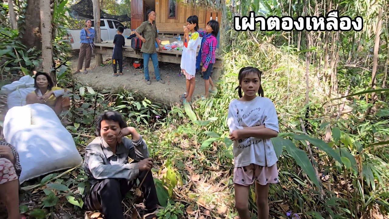แย่แล้วยายมิตรขโมยบุญรอดเข้าป่าอีกแล้วหรือว่าจะเป็นนางติ๊กเองเป็นตัวบงการ คนป่า ຄົນປ່າ bn saolao 