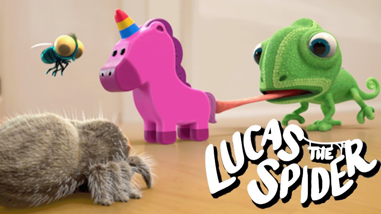 Bodhi and Findley Take Avocado's Squeaky Toy + More Lucas The Spider Videos For Kids
