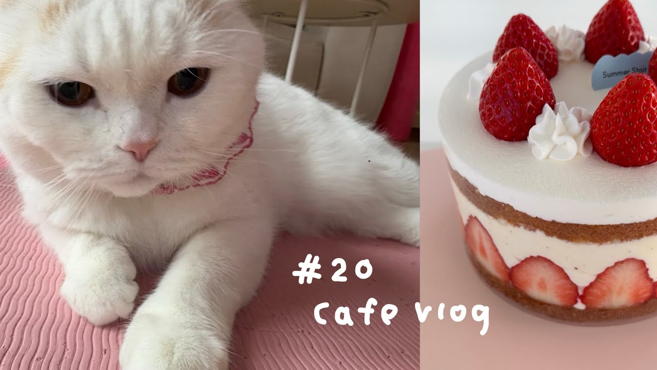 카페 브이로그) 부비동염 걸려서 ㄱ고생하는 카페 사장 브이로그, 아파도 일해. 쿠키 굽고 케이크 만들고!! 4k Seoul cafe vlog