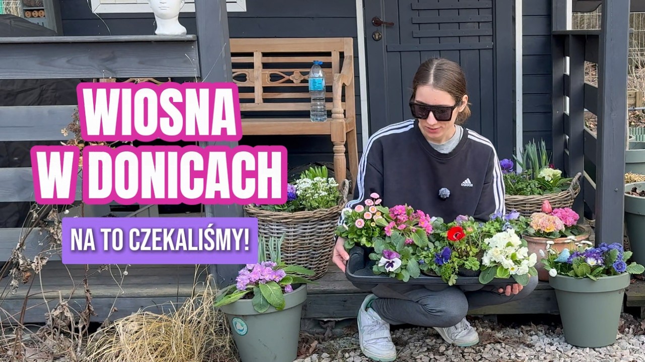 WIOSNA NADESZŁA! Wiosenne kolorowe kompozycje w donicach, groszki pachnące, winter sowing.