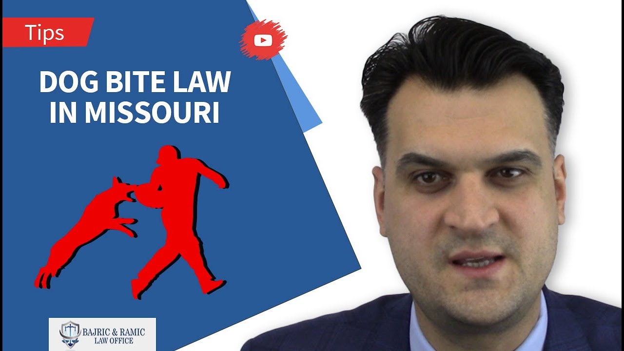 Dog Bite Law in Missouri